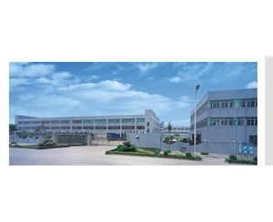 東莞伸東